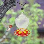 Bird Water Feeder Bottle Hanging Hook Flower Hummingbird Feeder Drinker Dispenser Outdoor Garden Feeding Decor Pet Supplies