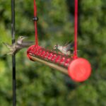 Hummingbird Feeder Garden Bird Feeder Foldable Bird Feeding Tool with Hanging Pet Accessories Pet Bird Feeder Outdoor Supplies