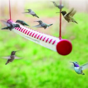 Hummingbird Feeder Garden Bird Feeder Foldable Bird Feeding Tool with Hanging Pet Accessories Pet Bird Feeder Outdoor Supplies